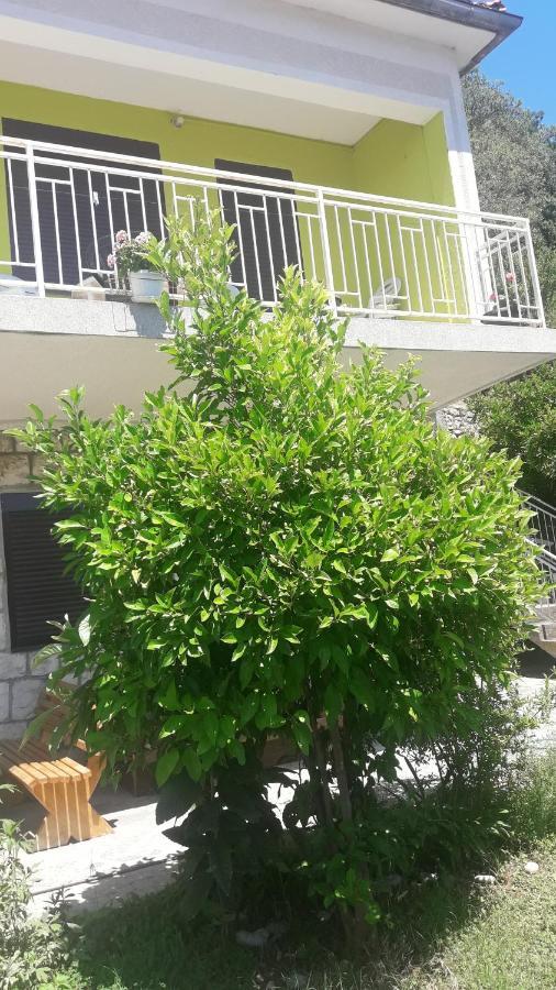 Apartment Dragone Ulcinj Eksteriør bilde