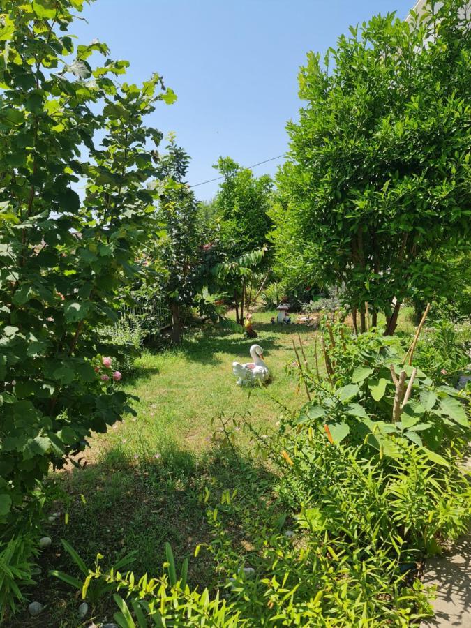 Apartment Dragone Ulcinj Eksteriør bilde