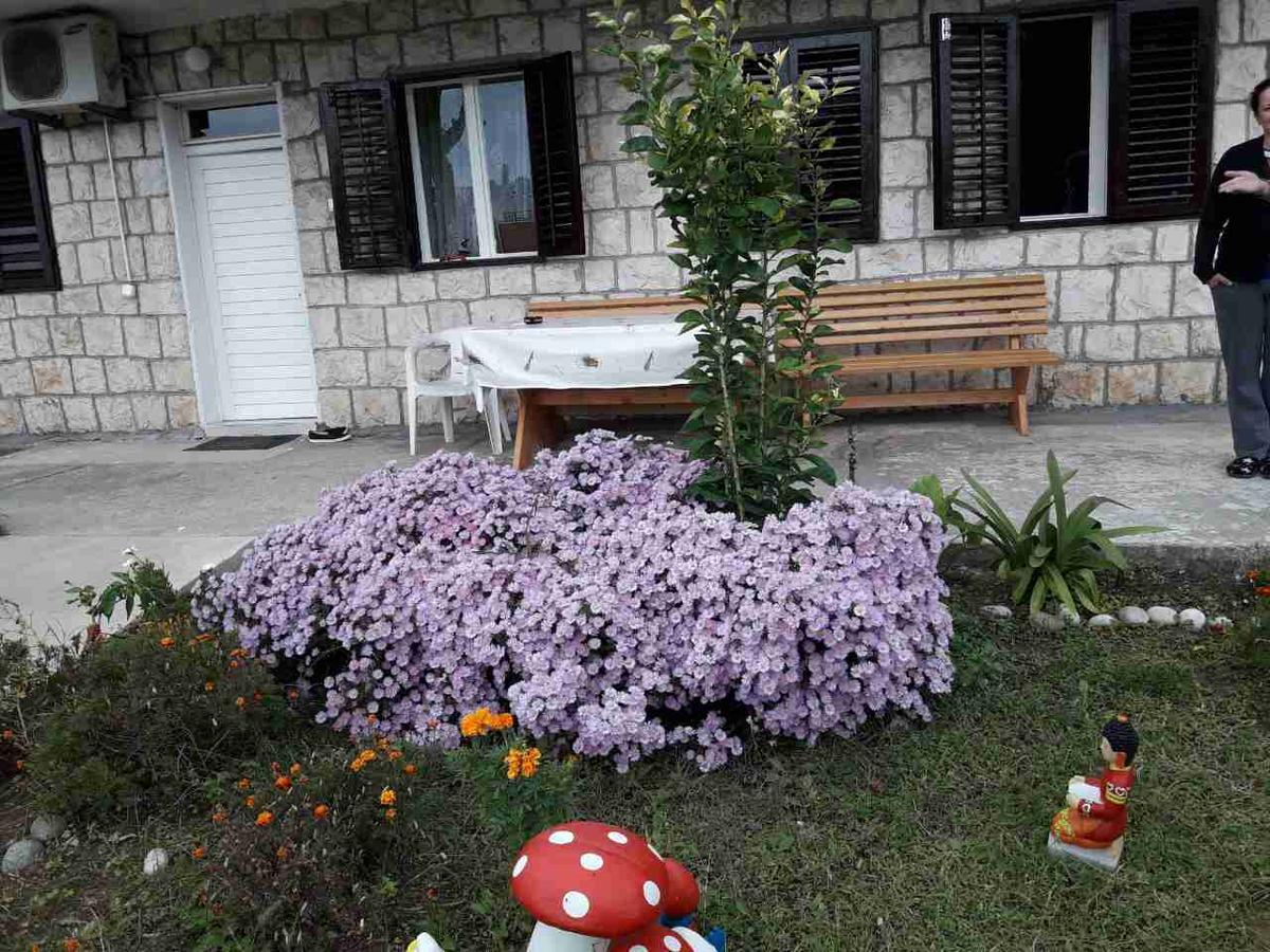 Apartment Dragone Ulcinj Eksteriør bilde